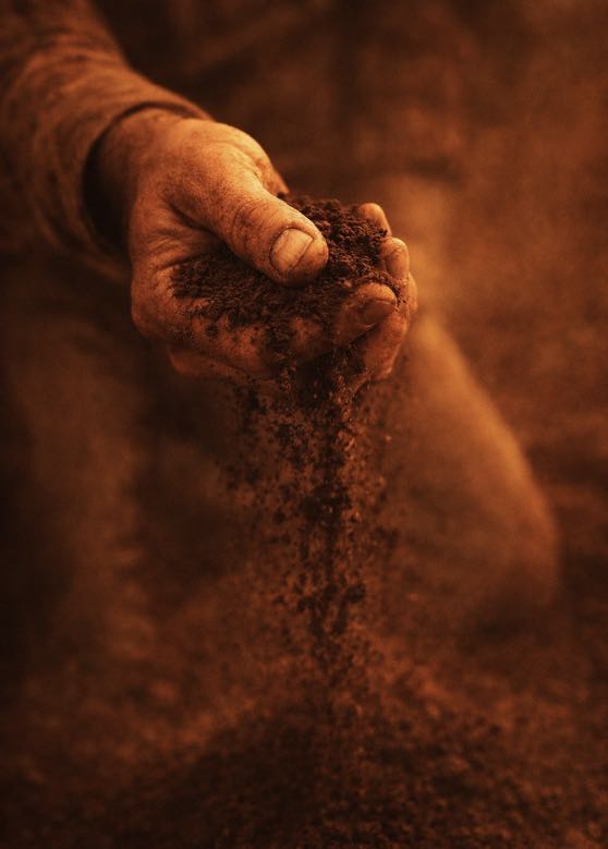 A hand releasing soil